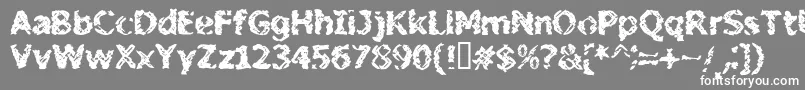 StileProject-Schriftart – Weiße Schriften auf grauem Hintergrund