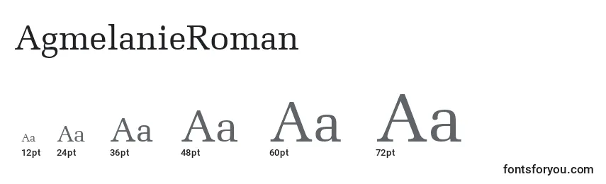 Размеры шрифта AgmelanieRoman