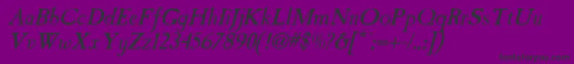 TintinabulationOldItalic Font – Black Fonts on Purple Background