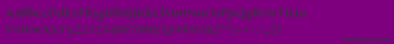 フォントSanvitoproSemibolddisp – 紫の背景に黒い文字