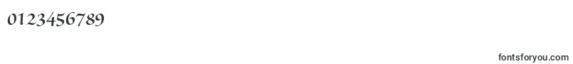 SanvitoproSemibolddisp Font – Fonts for Numbers and Digits