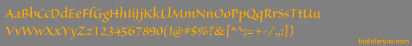 フォントSanvitoproSemibolddisp – オレンジの文字は灰色の背景にあります。