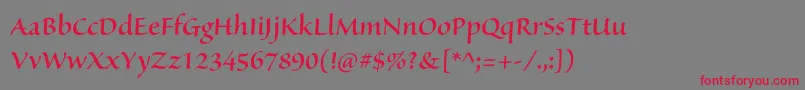 SanvitoproSemibolddisp Font – Red Fonts on Gray Background