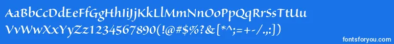 SanvitoproSemibolddisp Font – White Fonts on Blue Background