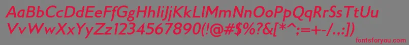 Gilliusadfno2Bolditalic Font – Red Fonts on Gray Background