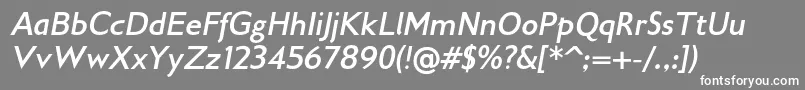Gilliusadfno2Bolditalic Font – White Fonts on Gray Background