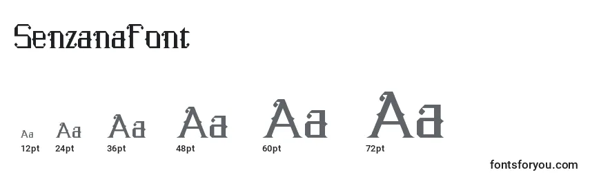 Размеры шрифта SenzanaFont