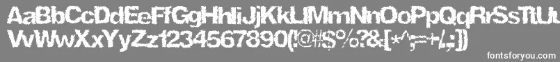 Ninjaturtle-Schriftart – Weiße Schriften auf grauem Hintergrund