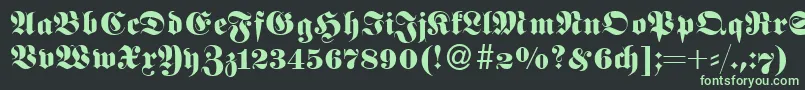 フォントFetaNormal – 黒い背景に緑の文字