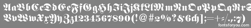 フォントFetaNormal – 灰色の背景に白い文字