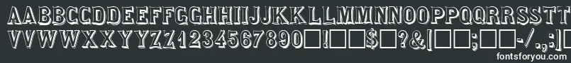 SaloondisplaycapssskRegular Font – White Fonts on Black Background