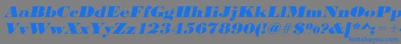 UrwbodonidextbolextwidOblique Font – Blue Fonts on Gray Background