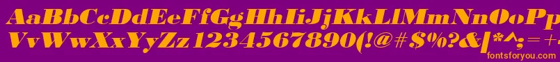 UrwbodonidextbolextwidOblique Font – Orange Fonts on Purple Background