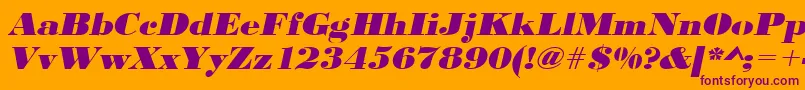 UrwbodonidextbolextwidOblique Font – Purple Fonts on Orange Background