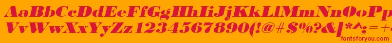 UrwbodonidextbolextwidOblique Font – Red Fonts on Orange Background