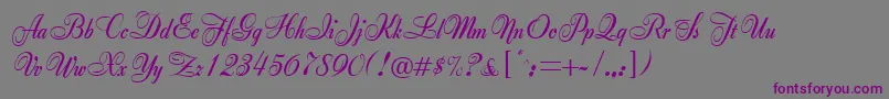 Anette Font – Purple Fonts on Gray Background
