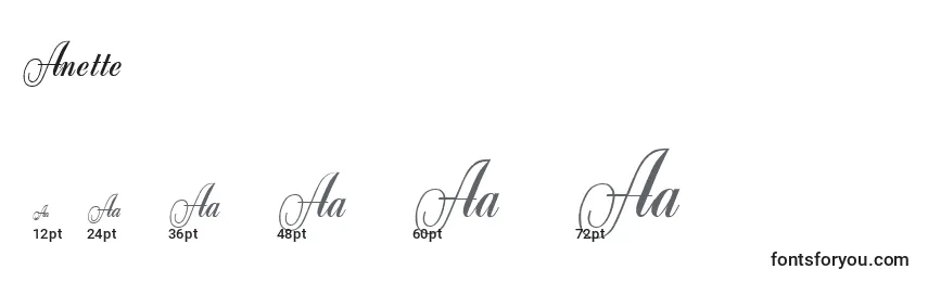 Anette Font Sizes