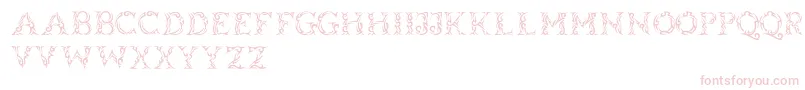 Tribalcase Font – Pink Fonts on White Background