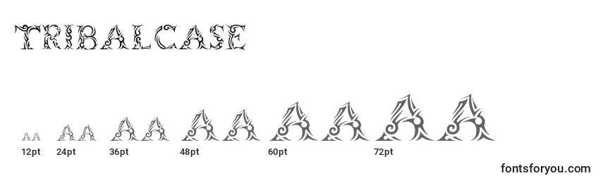 Tribalcase Font Sizes