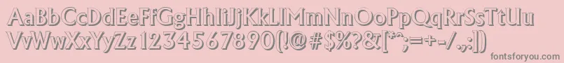 AdelonshadowMediumRegular Font – Gray Fonts on Pink Background