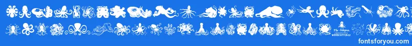 TheOctopus-Schriftart – Weiße Schriften auf blauem Hintergrund