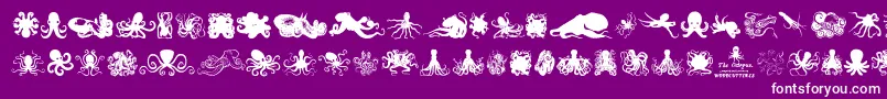 TheOctopus Font – White Fonts on Purple Background