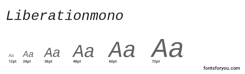 Liberationmono Font Sizes