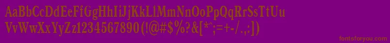 AntiquaBold65b Font – Brown Fonts on Purple Background