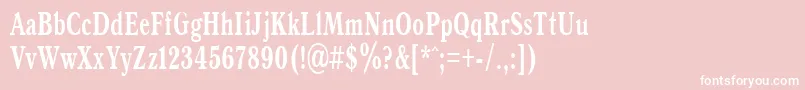 AntiquaBold65b Font – White Fonts on Pink Background