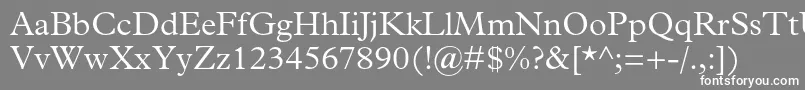 PlantinstdLight Font – White Fonts on Gray Background