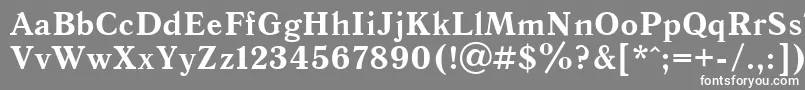 フォントQuantantiquacBold – 灰色の背景に白い文字