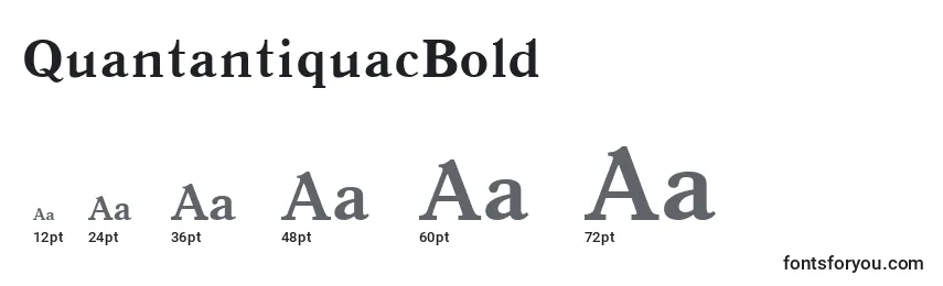 Размеры шрифта QuantantiquacBold