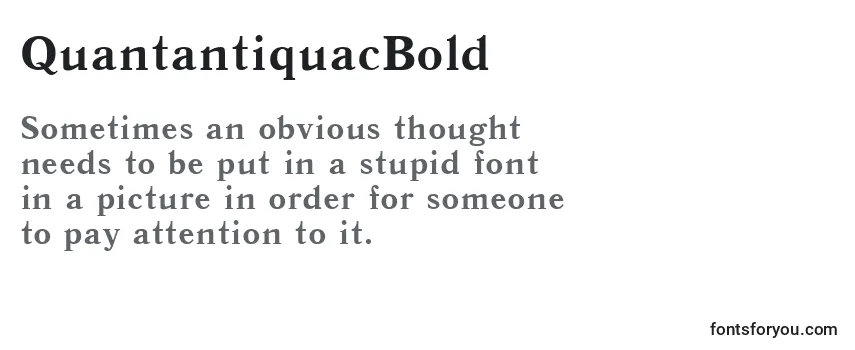 QuantantiquacBold Font