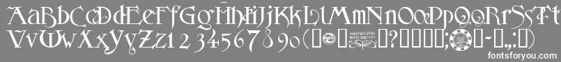 フォントSanslogique – 灰色の背景に白い文字