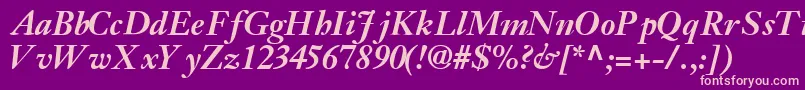 JansonsskBoldItalic Font – Pink Fonts on Purple Background