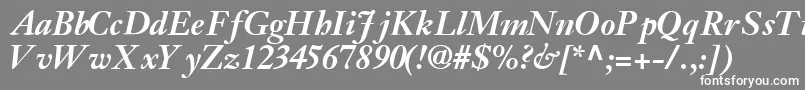 JansonsskBoldItalic Font – White Fonts on Gray Background