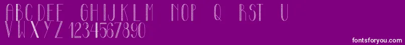 MayonaiseCondensed Font – White Fonts on Purple Background