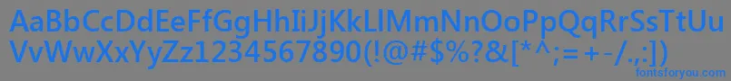 フォントSegoeUiSemibold – 灰色の背景に青い文字