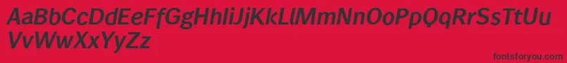 Wendelinreduced76halbfettkursiv Font – Black Fonts on Red Background