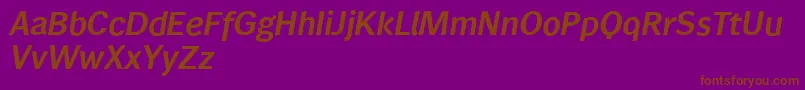 Wendelinreduced76halbfettkursiv Font – Brown Fonts on Purple Background