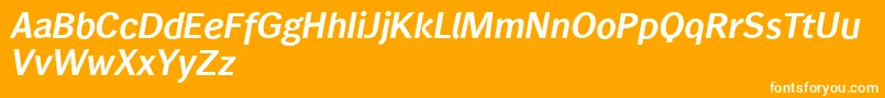 Wendelinreduced76halbfettkursiv Font – White Fonts on Orange Background