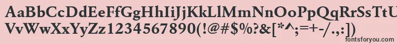 UrwgaramondtwidBold Font – Black Fonts on Pink Background