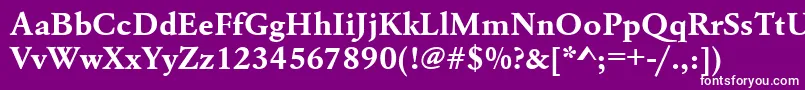 UrwgaramondtwidBold Font – White Fonts on Purple Background