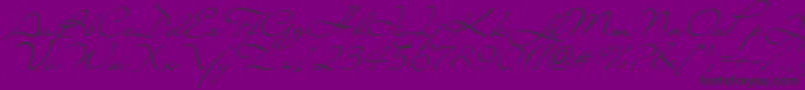 Lainyday Font – Black Fonts on Purple Background