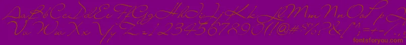 Lainyday Font – Brown Fonts on Purple Background