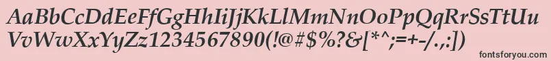 PalladioBolditalic Font – Black Fonts on Pink Background