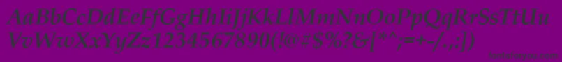 PalladioBolditalic Font – Black Fonts on Purple Background