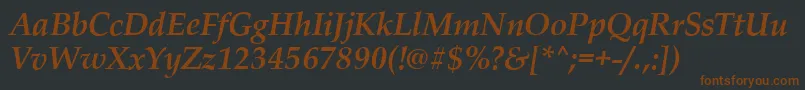 PalladioBolditalic Font – Brown Fonts on Black Background