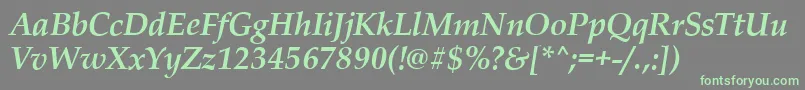 PalladioBolditalic Font – Green Fonts on Gray Background
