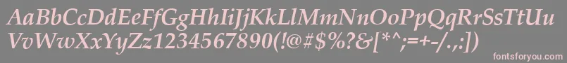 PalladioBolditalic Font – Pink Fonts on Gray Background